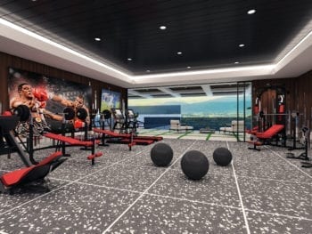 1047 N Bundy in Brentwood - Basement Gym
